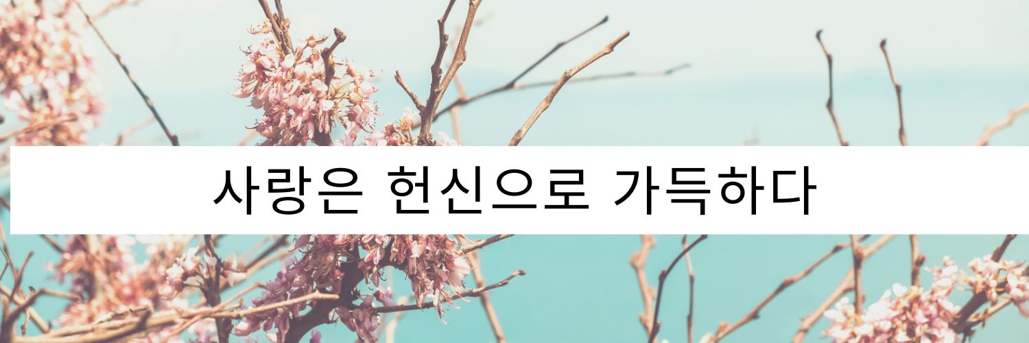 MissInsanity18's profile banner image