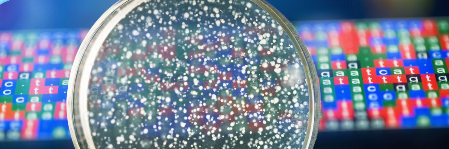 Caitlin Falconer banner