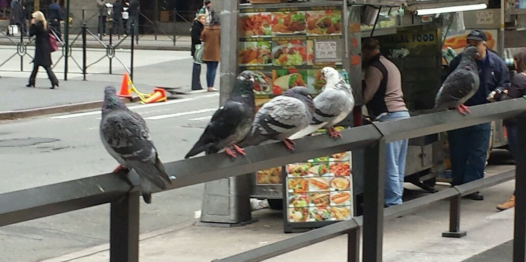 With No Filter banner