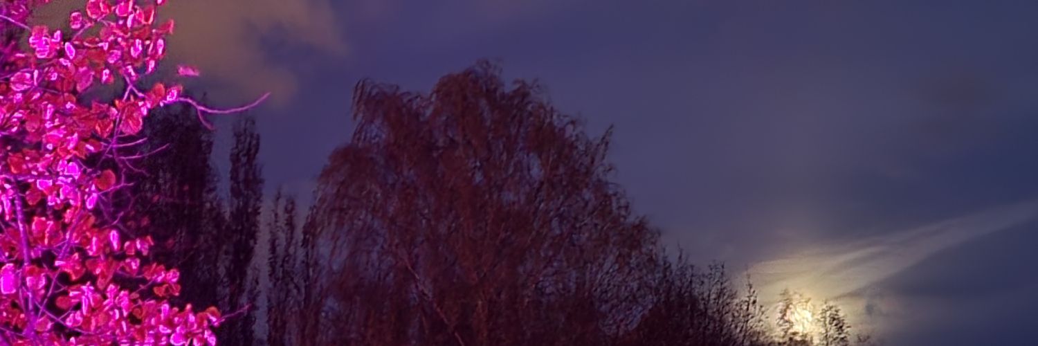 sofy_ramos's profile banner image