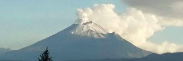 docenpie Profile Banner