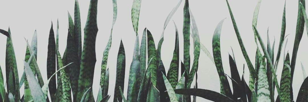 dcaprill's profile banner image