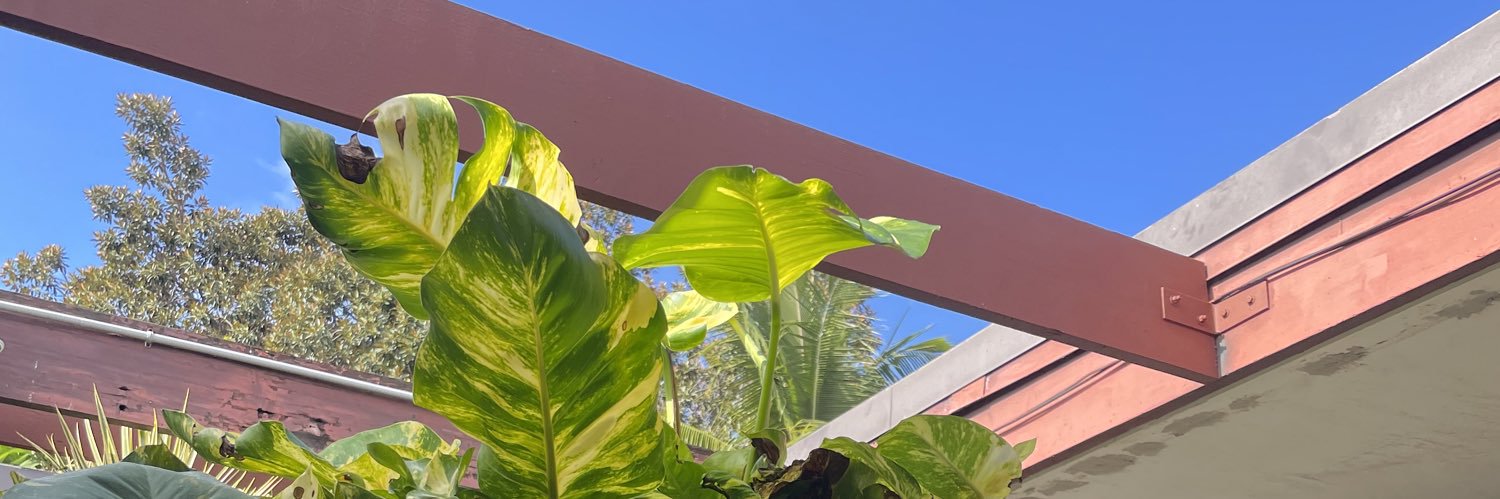 _kimmst's profile banner image