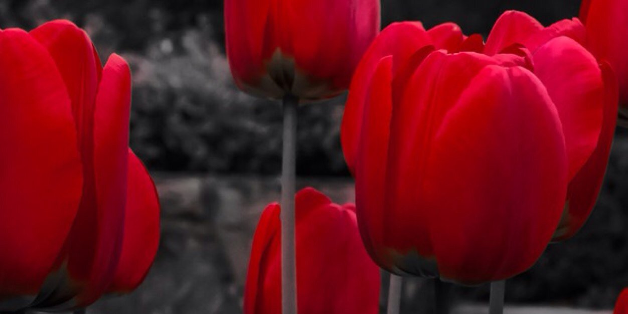CassieHobbs8's profile banner image