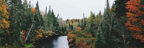ashharrington's profile banner image