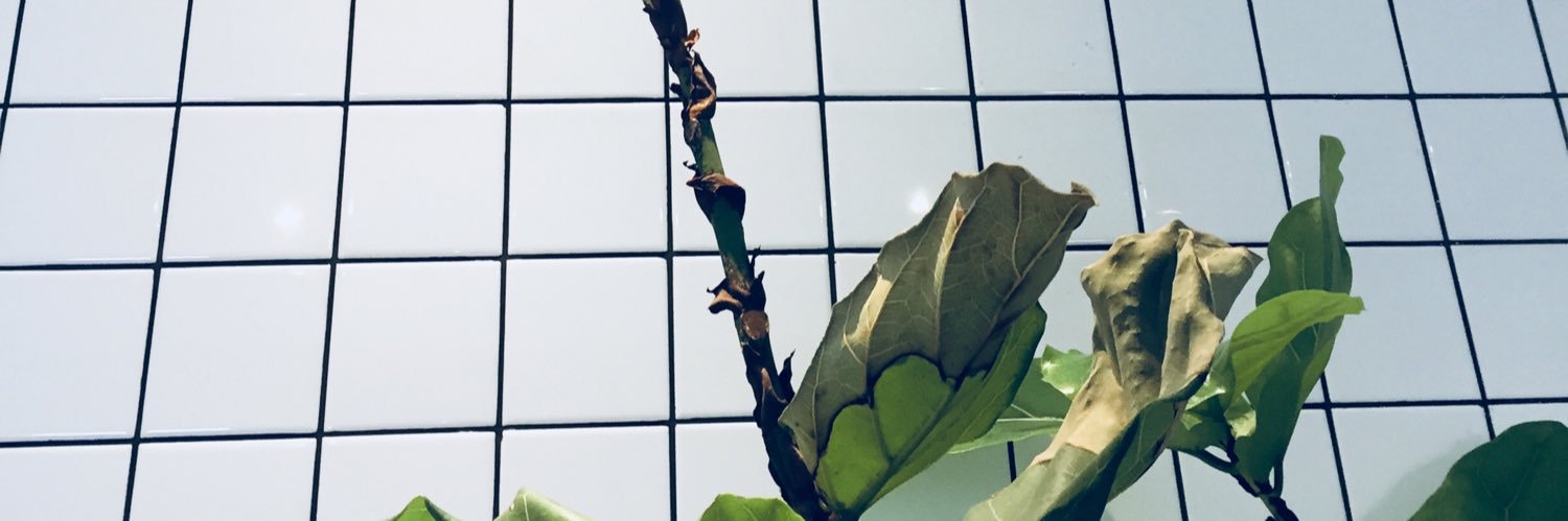Yourflavo's profile banner image