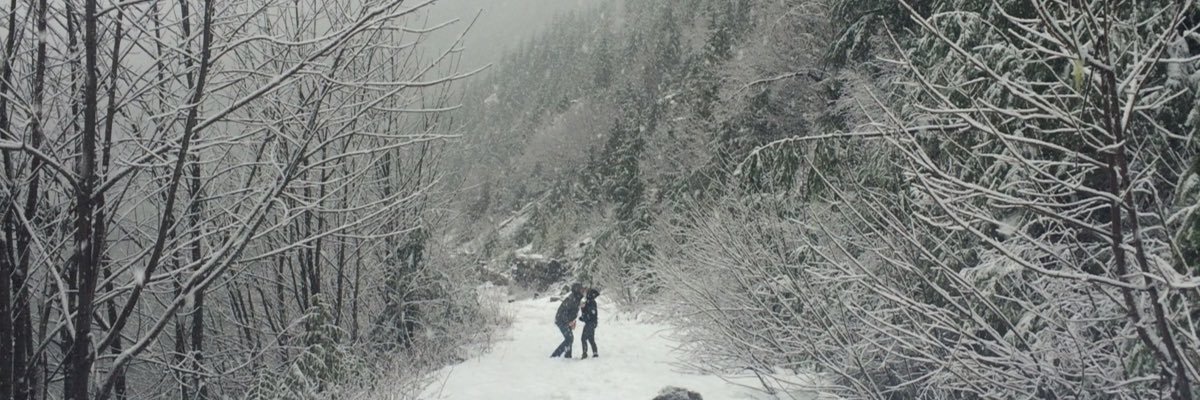 emilyhharding's profile banner image