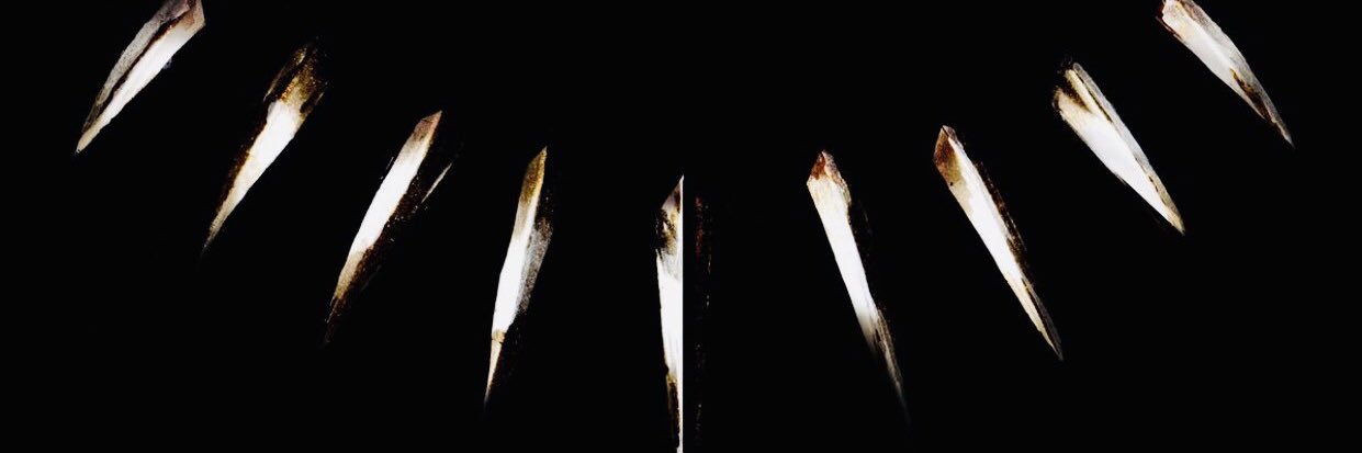 LizzyS_3's profile banner image