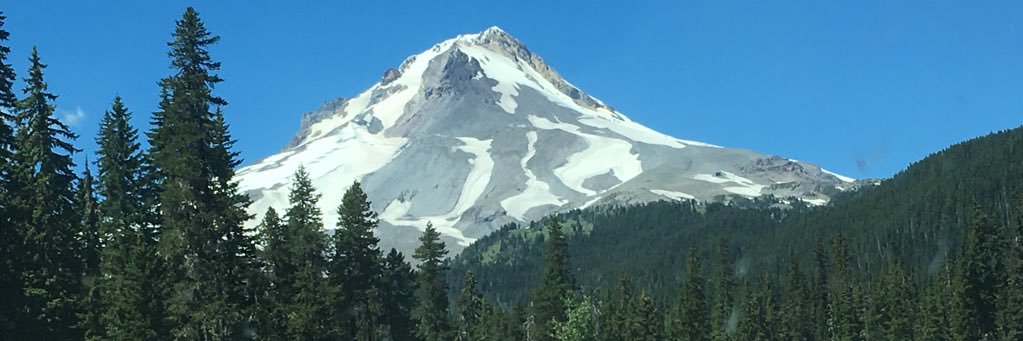 marniedavisson's profile banner image