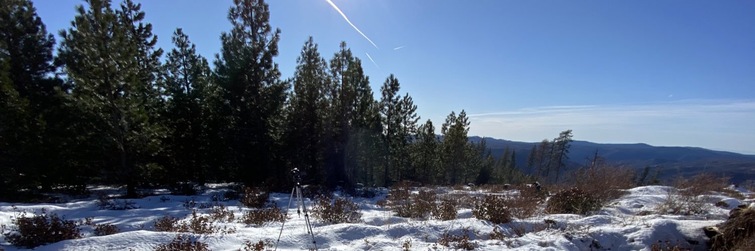 Michael Panelli banner
