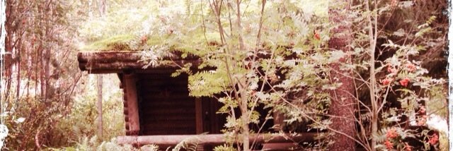 jtrolli's profile banner image