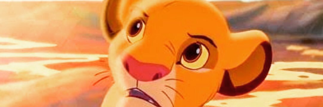 pedroknupp's profile banner image