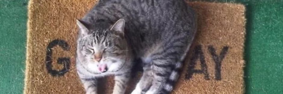 hannahchapss's profile banner image
