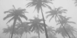 mocqueenjay's profile banner image