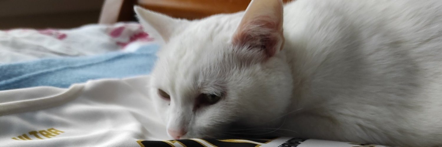 MaxgoodsFr's profile banner image
