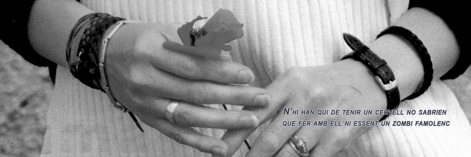 Eмма Gоn🐈‍⬛CN💫♻️ 75-78 KO-Ñ banner