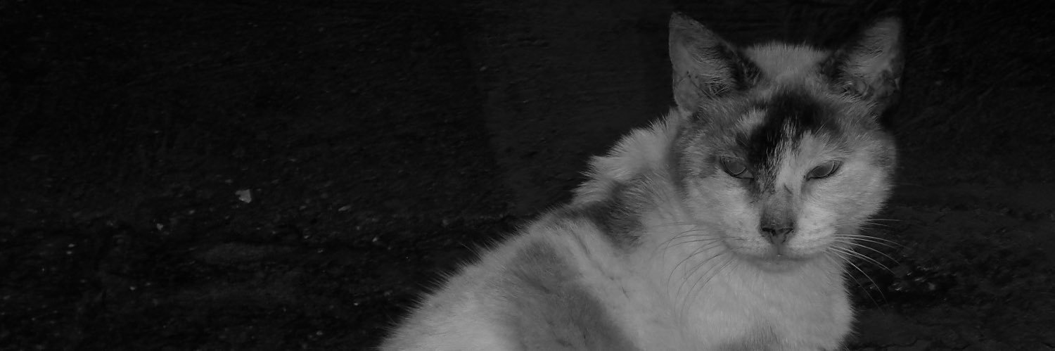 idkdamm's profile banner image