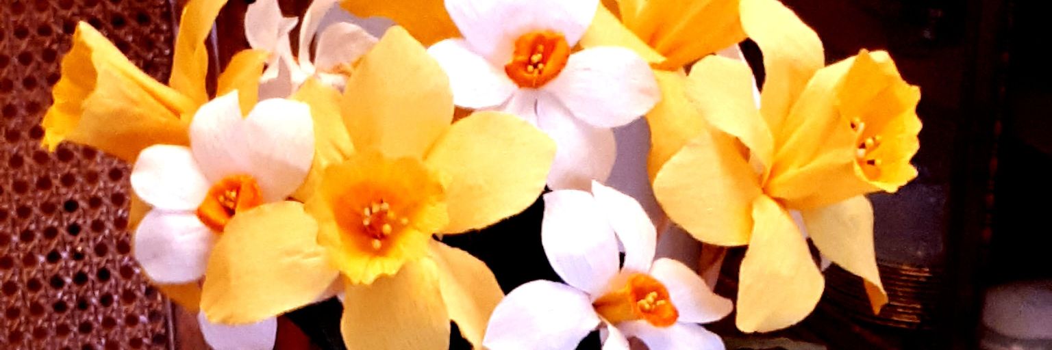AlCatJDP's profile banner image