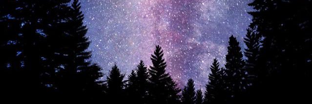 RoyArrow_'s profile banner image