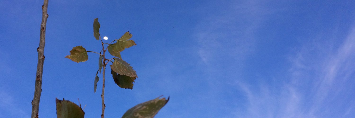 DanyaArS's profile banner image