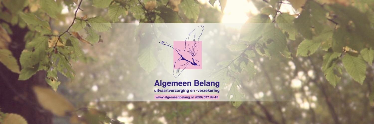 algemeenbelang's profile banner image