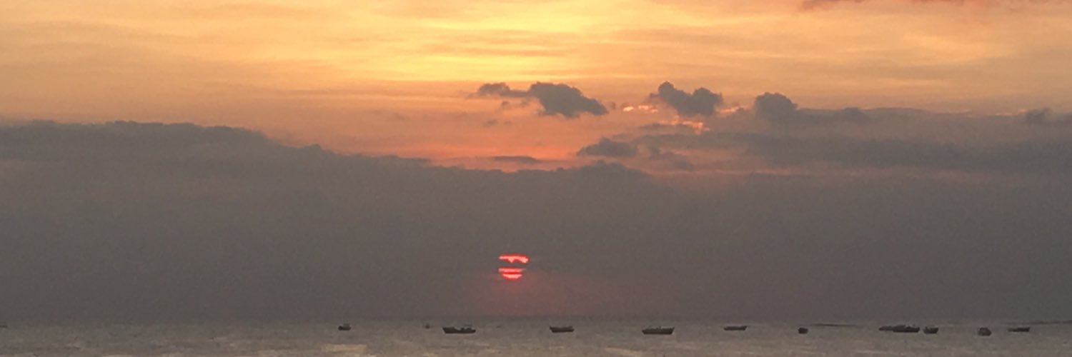 laurapimm's profile banner image