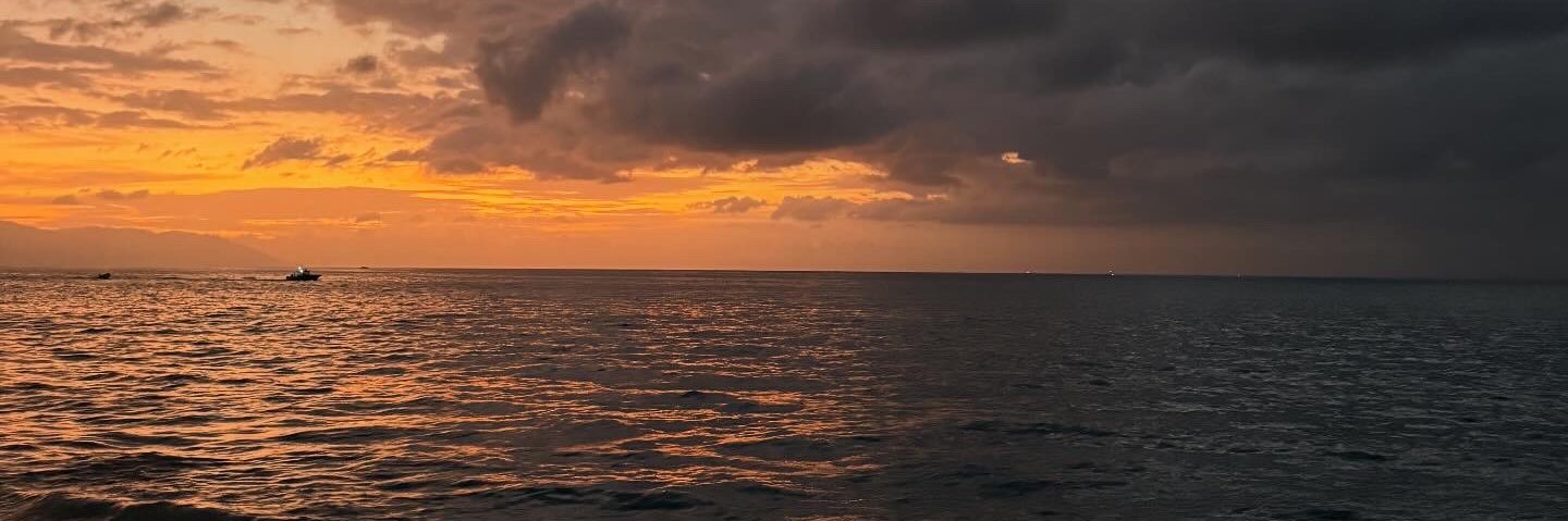 𝕁𝕠𝕤𝕖𝕞𝕒𝕣 𝔸𝕝𝕒í𝕟 ⚡️ banner