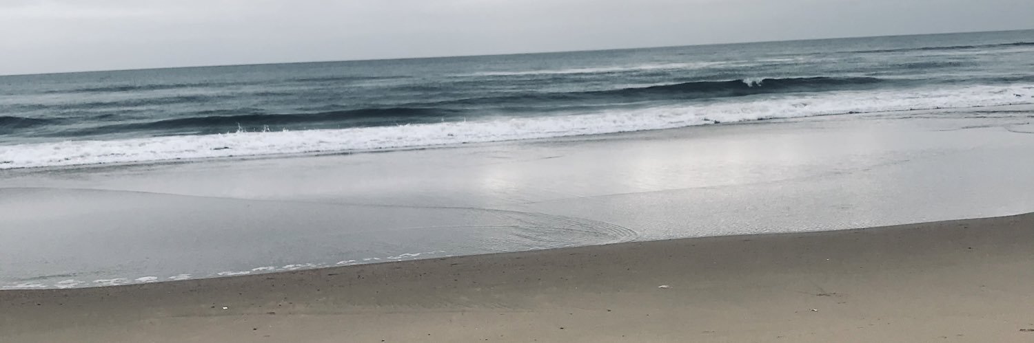 Nosipops's profile banner image