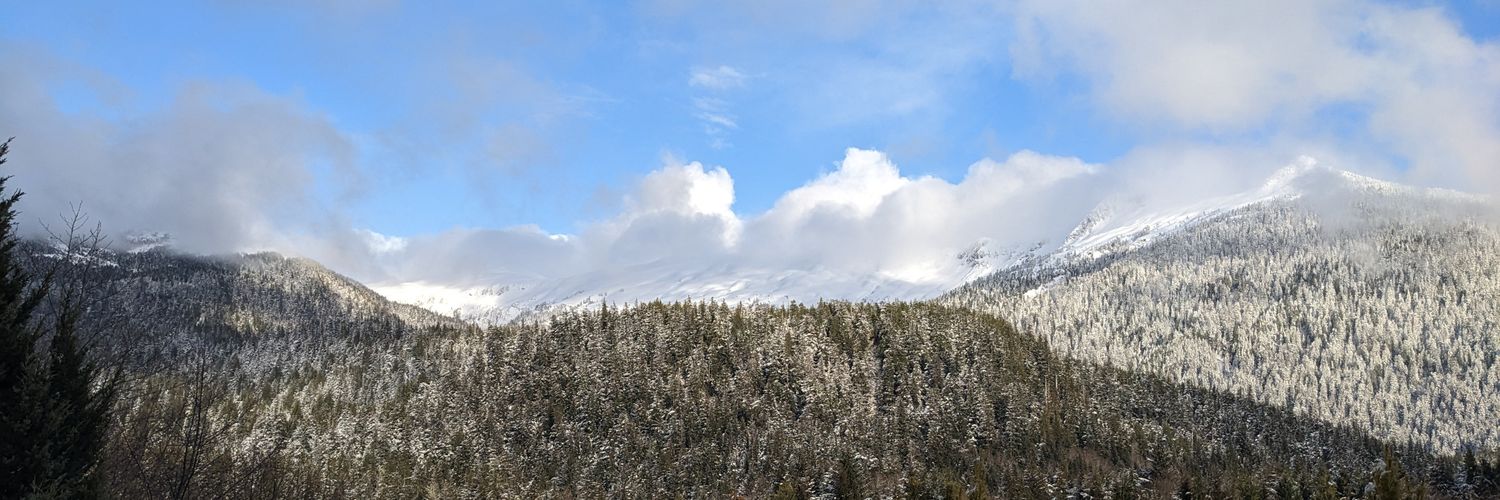 Ellowyn Beimler banner