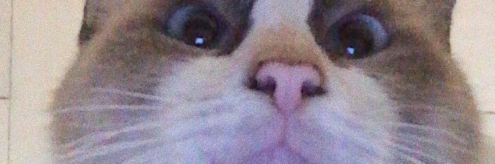 Afriolamara's profile banner image