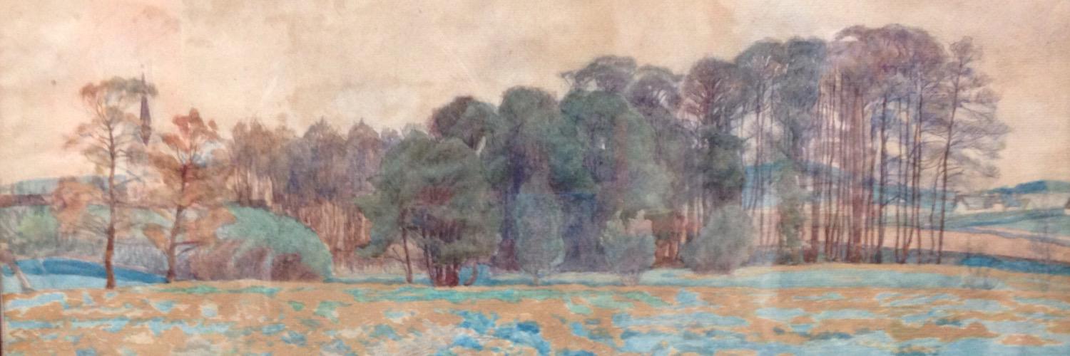 olefugl's profile banner image