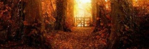 mostfa_e5's profile banner image