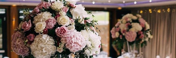 ParsleySage11 Profile Banner