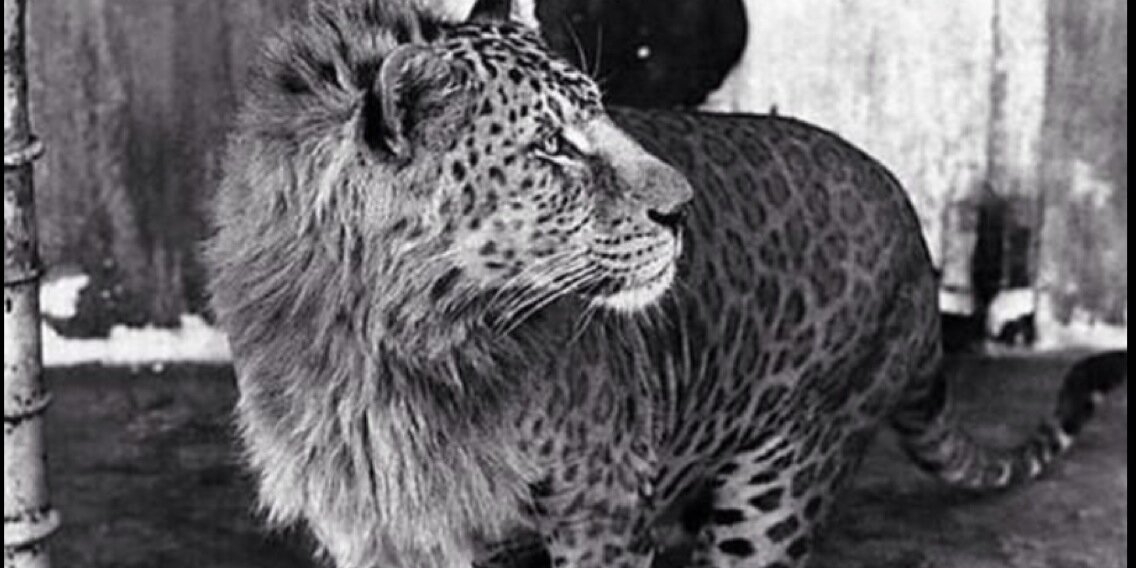 leighaaa_'s profile banner image