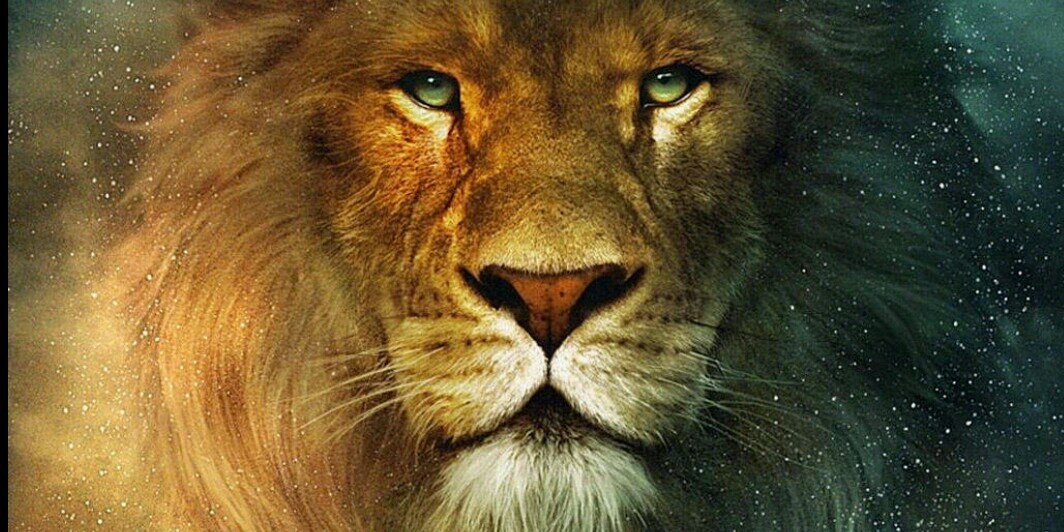 qahtan555's profile banner image