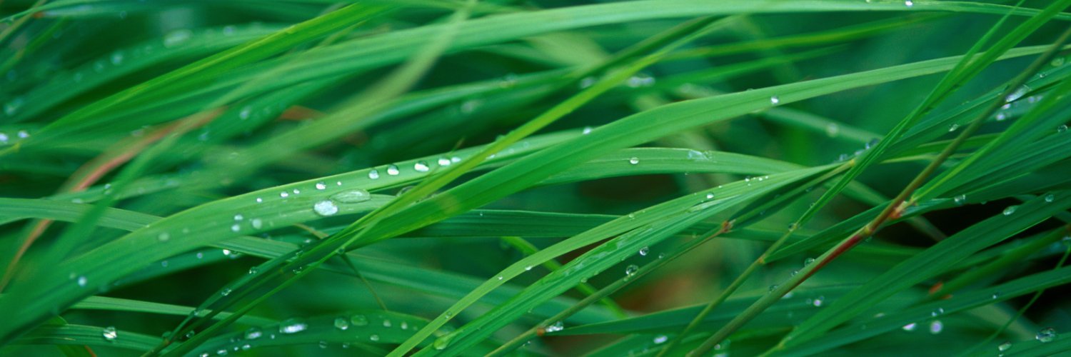 comnityslank53's profile banner image