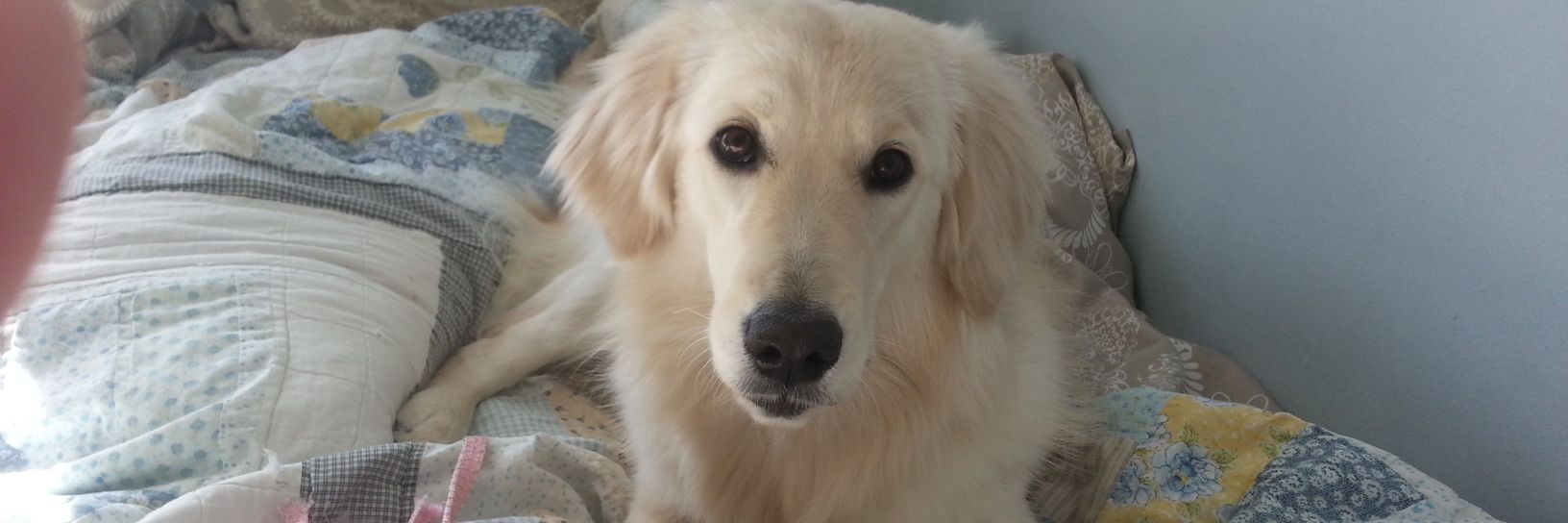 sneezy6145's profile banner image