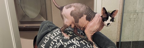 raulll___ Profile Banner