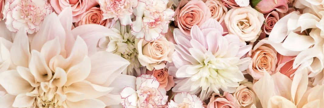 christieleannex's profile banner image