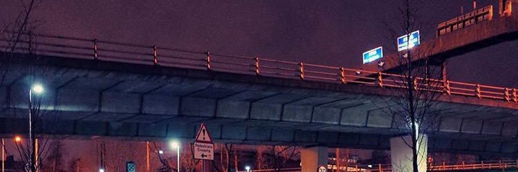 Steve L banner