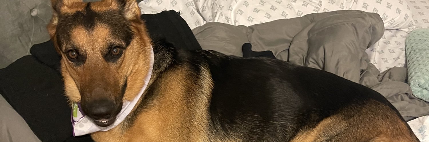 Pattyboo's profile banner image