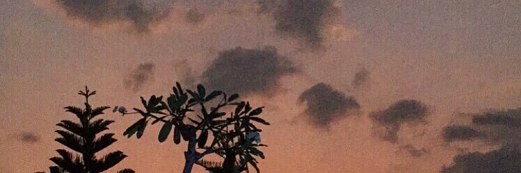 bellariandani's profile banner image