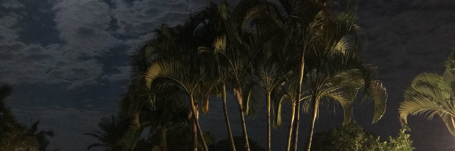 orhuanlima's profile banner image
