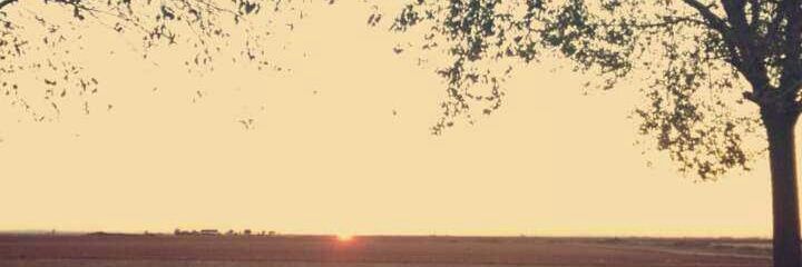 NoeliaAranda97's profile banner image