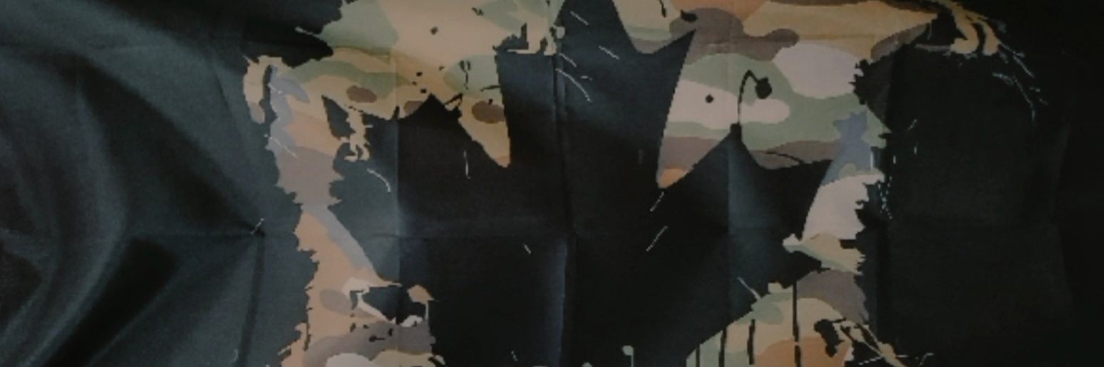 zeroT0RK's profile banner image