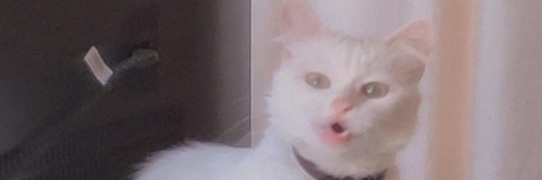 almumm97's profile banner image