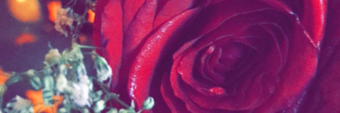 n0_0ran's profile banner image