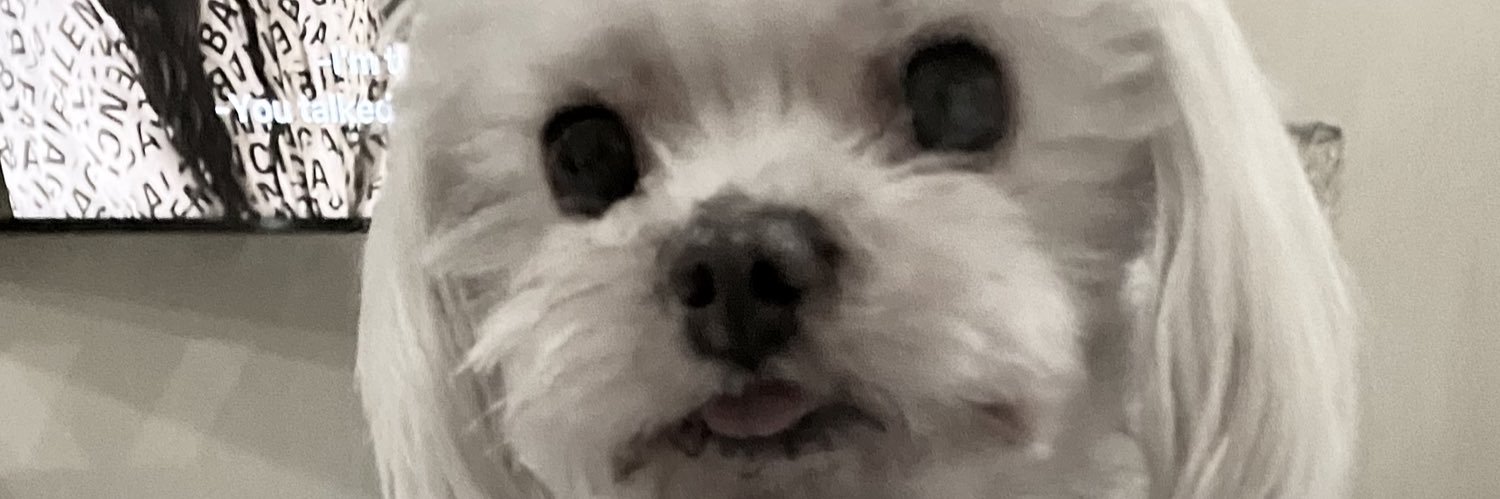 toesterJB's profile banner image
