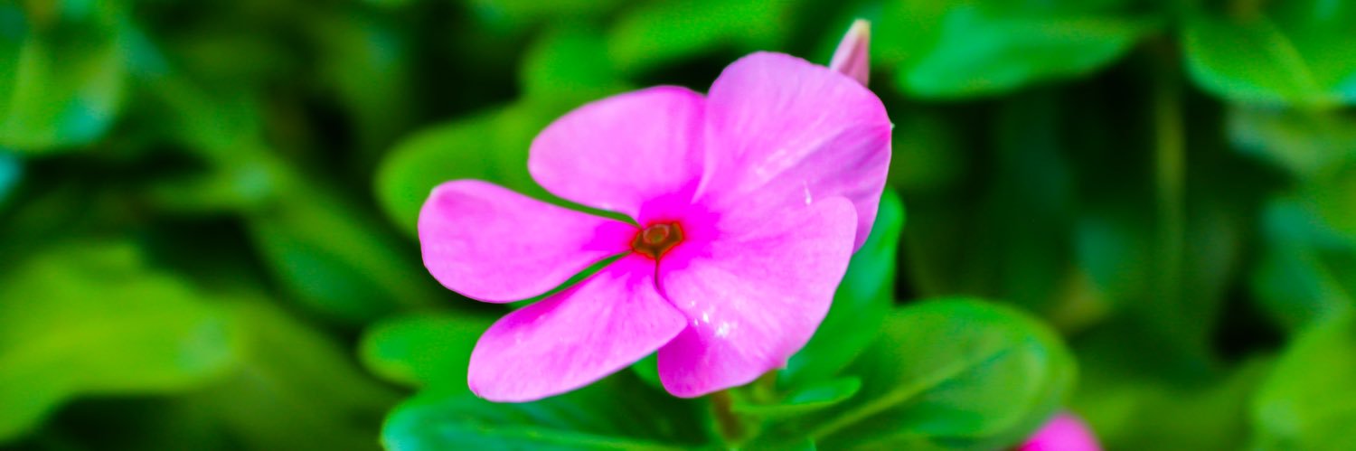Oise_O's profile banner image