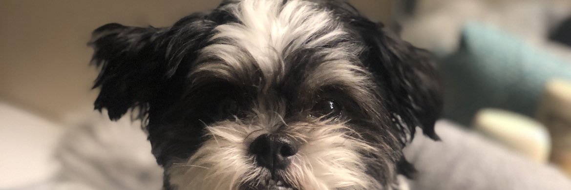 hannfos's profile banner image